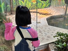 -上海大自然野生昆虫馆(东方明珠·爬宠昆虫探索中心)