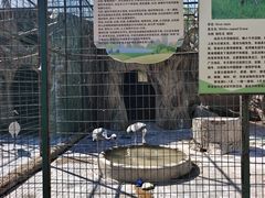 -保定市动物园