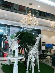 -同远QQBABY亲子摄影(北京路店)