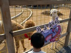 -红山体育乐园