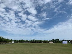 -春花秋色城市公园