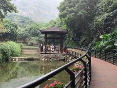 -月亮湾公园