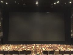 -武商摩尔影城(国广IMAX激光店)