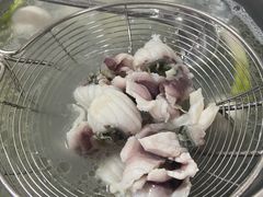 脆鲩鱼片-中山脆肉鲩(新圳东路店)