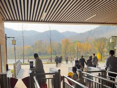 -千年银杏谷文化旅游区