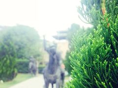 iphone_upload_pic-合肥三国新城遗址公园