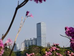 -南宁南湖公园