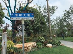 -上海长兴岛郊野公园