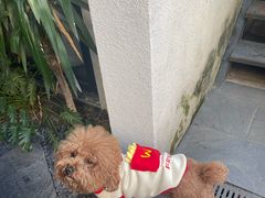 -漫笙舍Manse·咖啡·民宿