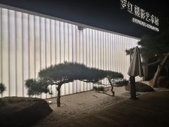 -罗红摄影艺术馆
