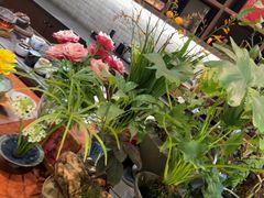 -九福楼大酒店