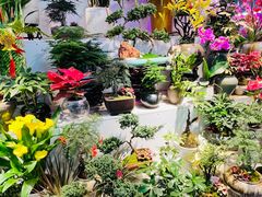 -花鸟鱼虫鲜花绿植市场(玉泉路店)