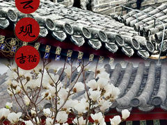 -白云观