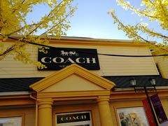 -COACH蔻驰(赛特奥特莱斯店)
