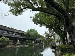 -黎里古镇