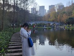 -重庆彩云湖湿地公园