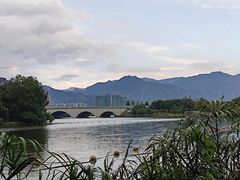 -飞来湖湿地公园