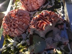 -亚马逊丛林水乐园