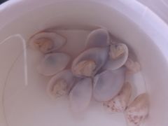-宋记海南粉传承老店(人民西路店)