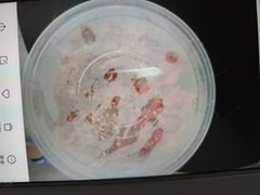 -福巷湘食小馆·猛火现炒(上海首店)