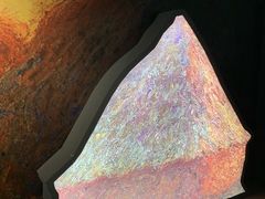 -印象莫奈时光映迹艺术展