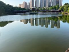 -重庆彩云湖湿地公园