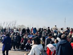 -盐城丹顶鹤湿地生态旅游区