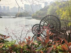-重庆彩云湖湿地公园