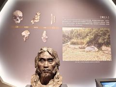 -广西壮族自治区博物馆