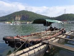 商户图片-海上驿站渔家菜馆