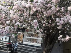 -味多美蛋糕(苏州街地铁店)