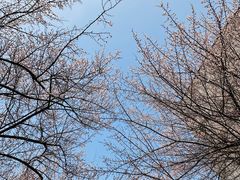 -国际非物质文化遗产博览园