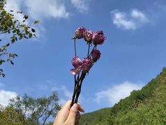 -四门塔风景区