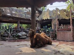 -长鹿旅游休博园
