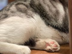 -echoes coffee回响咖啡(888街店)