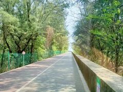 -北海金海湾红树林生态旅游区