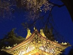 -迎泽公园
