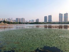 -月湖风景区