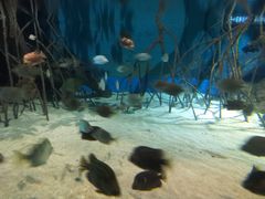 -福州罗源湾海洋世界旅游区