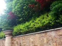 iphone_upload_pic-杭州千岛湖滨江希尔顿度假酒店
