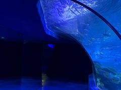 -左海海底世界
