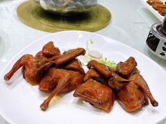 红烧乳鸽-阳春市花园酒店