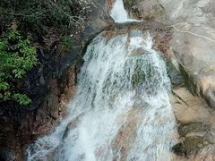 -九龙江国家森林公园