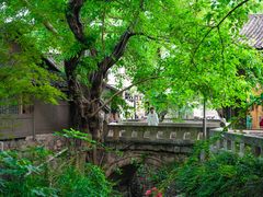 -土城古镇