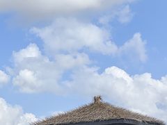 -漩门湾国家湿地公园