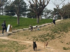 -小意思咖啡店(草桥店)