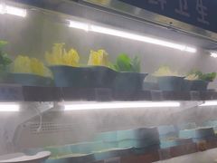 -九鼎轩火锅大排挡