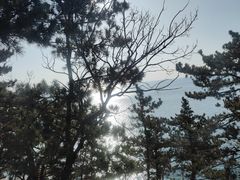 -崂山仰口游览区