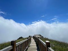 -白草畔自然风景区