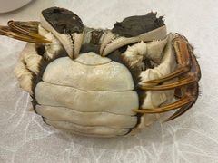 -珍宝蟹舫·巴城味道(巴城总店)